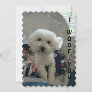 Tarjeta Festiva I Woof You Card