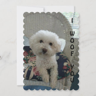 Tarjeta Festiva I Woof You Card