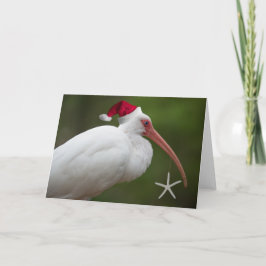 Tarjeta Festiva Ibis w/santa hat