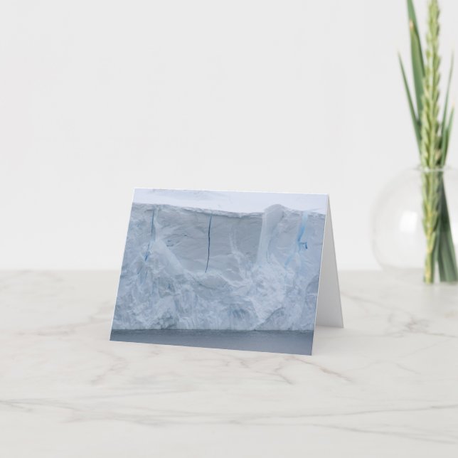 Tarjeta Festiva Ice cliffs, Nekko Harbor card (Anverso)