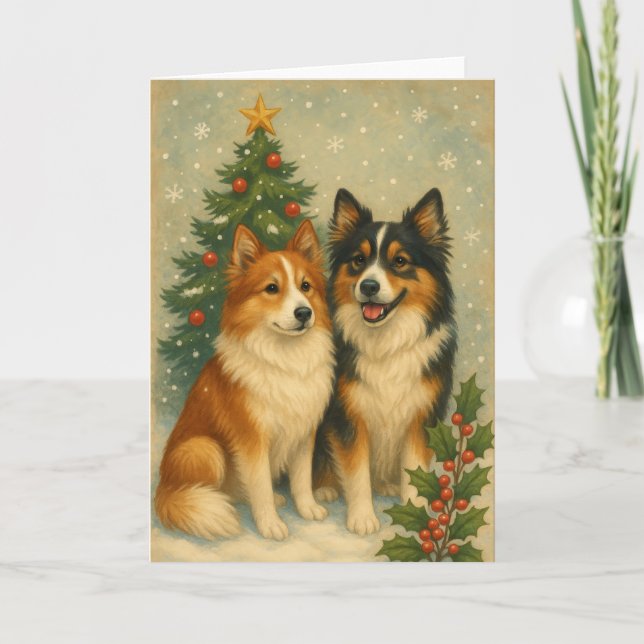 Tarjeta Festiva Icelandic Sheepdog Christmas Card (Anverso)