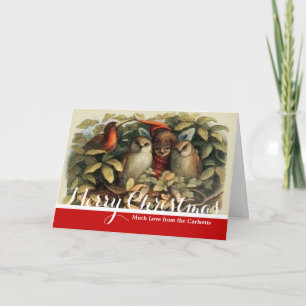 Tarjeta Festiva Ilustracion Natural de las Lechuzas y las Fe de El