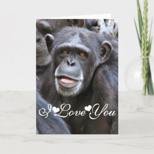 Tarjeta Festiva Imagen de chimpancé Foto Te Amo