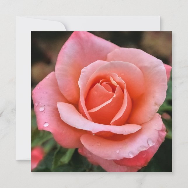 Tarjeta Festiva Impresión artística botánica de rosa romántica (Anverso)