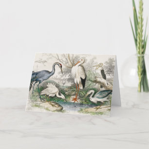 Tarjeta Festiva Impresión artística vintage de garzas, cigüeñas y