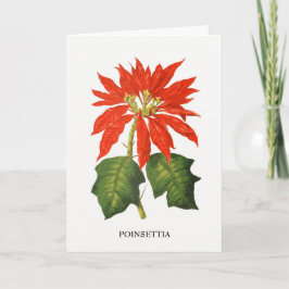 Tarjeta Festiva Impresión botánica de poinsettia
