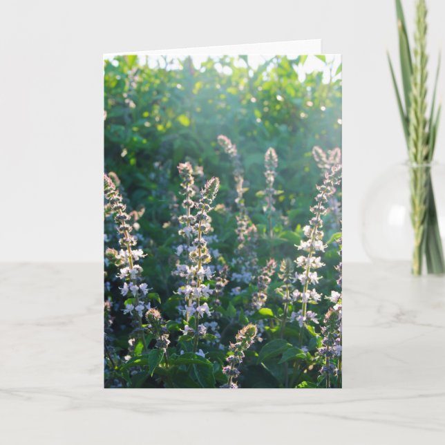 Tarjeta Festiva indefinido (Anverso)