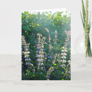 Tarjeta Festiva indefinido