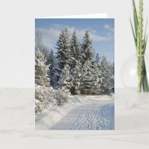 Tarjeta Festiva Invierno