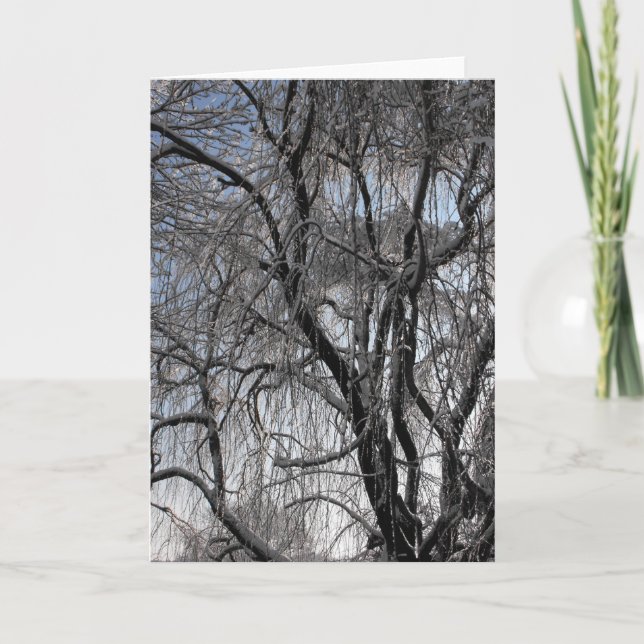 Tarjeta Festiva Invierno ~ 24 (Anverso)