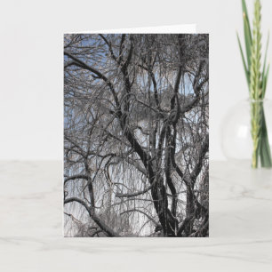 Tarjeta Festiva Invierno ~ 24