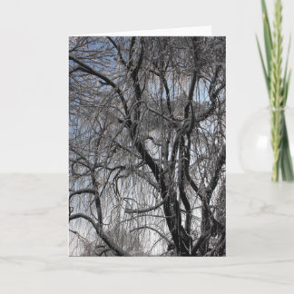 Tarjeta Festiva Invierno ~ 24