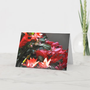 Tarjeta Festiva Invierno del desierto también
