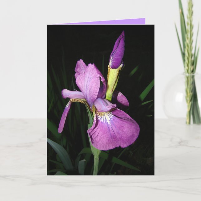 TARJETA FESTIVA IRIS (Anverso)