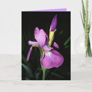 TARJETA FESTIVA IRIS
