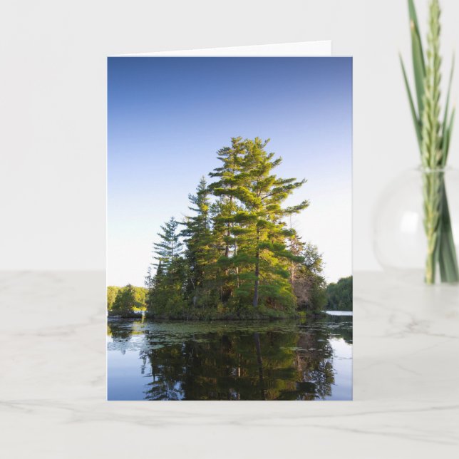 Tarjeta Festiva Isla en Lake Long Pond (Anverso)