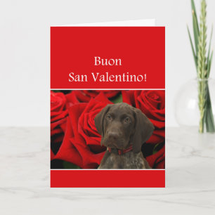 Tarjeta Festiva Italiano San Valentino Glossy Grizzly Valentine