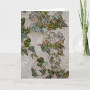 Tarjeta Festiva Ivy en el tronco del árbol