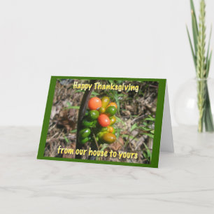 Tarjeta Festiva Jack in the Pulpit Seeds Happy Thankde Card