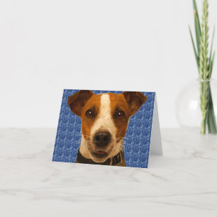 Tarjeta Festiva Jack Russel Cosby Card