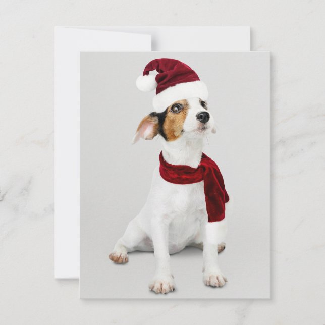 Tarjeta Festiva Jack Russel Puppy usando Santa Hat (Anverso)