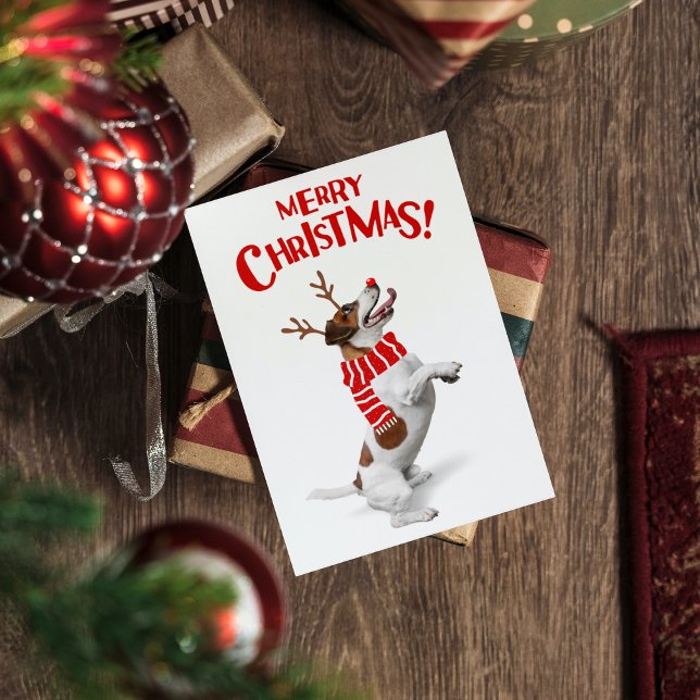 Tarjeta Festiva Jack Russel Terrier Dog Red Nose Antlers Xmas (Subido por el creador)