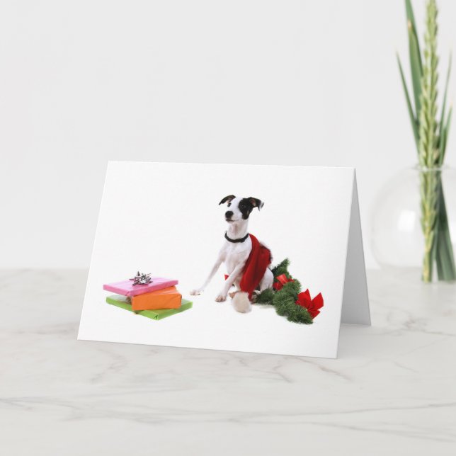 Tarjeta Festiva jack russel y Navidades, (Anverso)
