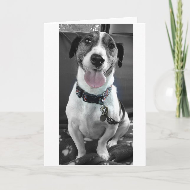Tarjeta Festiva Jack Russell (Anverso)