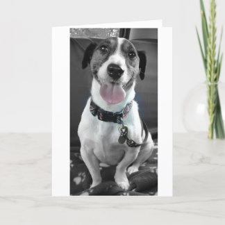 Tarjeta Festiva Jack Russell