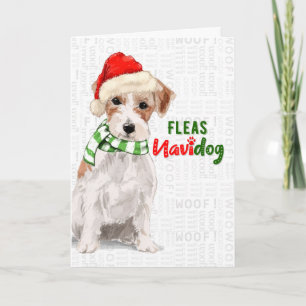 Tarjeta Festiva Jack Russell Dog Funny Fleas Navidog Christmas