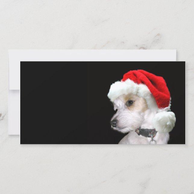 Tarjeta Festiva Jack Russell Santa (Anverso)
