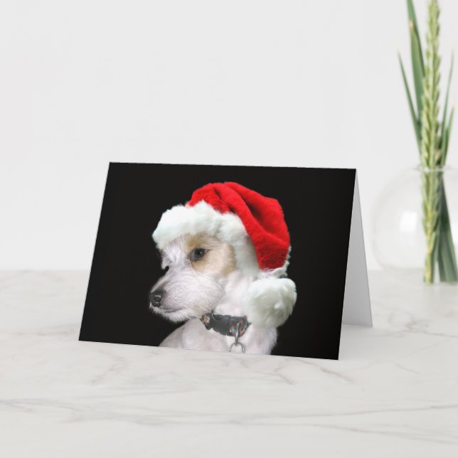 Tarjeta Festiva Jack Russell Santa (Anverso)