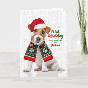Tarjeta Festiva Jack Russell Terrier Divertidas Pulgas Navidog con