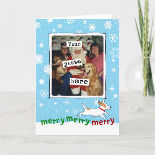 Tarjeta Festiva Jack Russell Terrier   Navidades de perros   Su fo