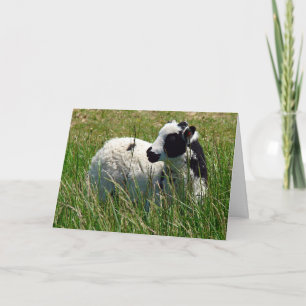 Tarjeta Festiva Jacob Ram Lamb, Pascua