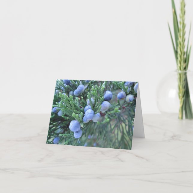 Tarjeta Festiva Jánuca feliz: Bayas de enebro (Anverso)