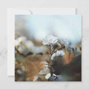 Tarjeta Festiva Jardín de Rosas Blancas Soñadoras con Bokeh Vintag