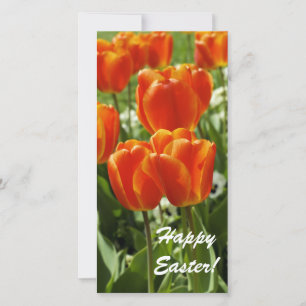 Tarjeta Festiva Jardín de Tulipanes de Primavera