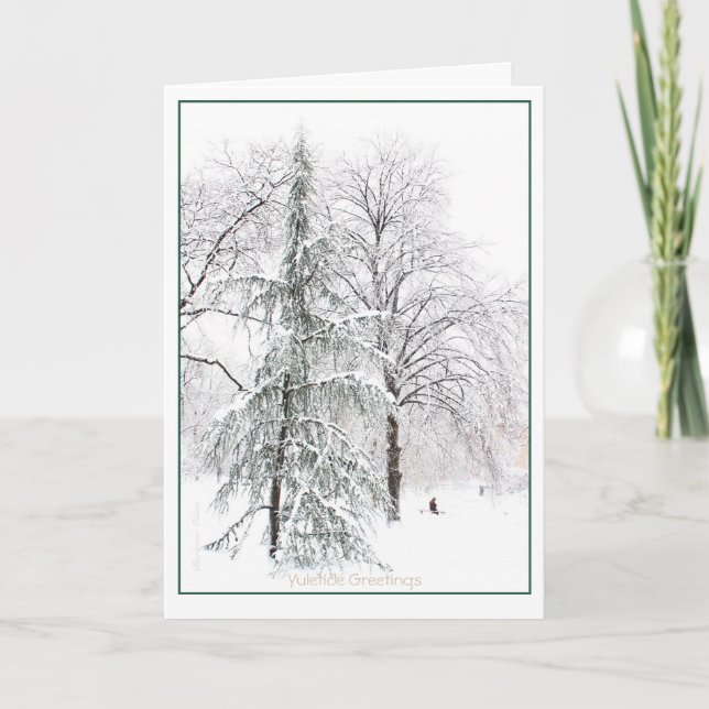 Tarjeta Festiva Jardín Público de Boston: Yuletide de vacaciones (Anverso)