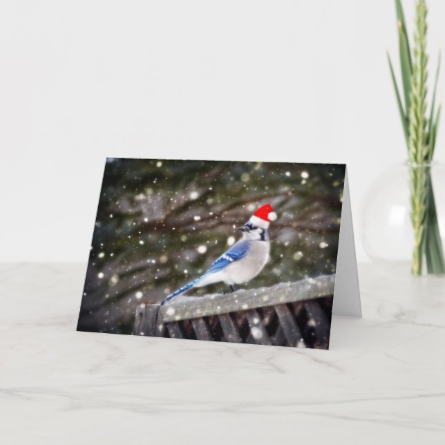 Tarjeta Festiva Jay azul (Anverso)