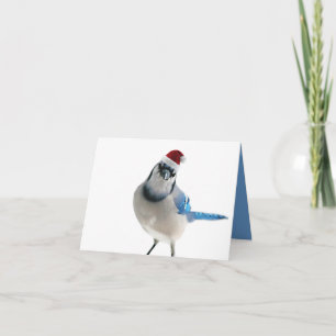Tarjeta Festiva Jay azul