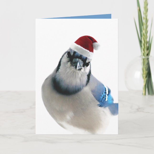 Tarjeta Festiva Jay azul (Anverso)