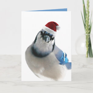 Tarjeta Festiva Jay azul