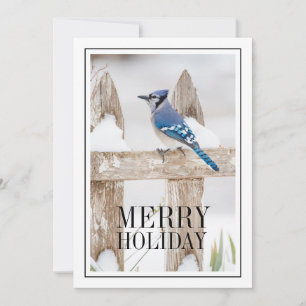 Tarjeta Festiva Jay azul encaramado en la cerca nevada