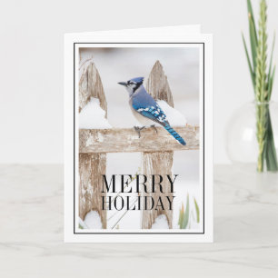 Tarjeta Festiva Jay azul encaramado en la cerca nevada