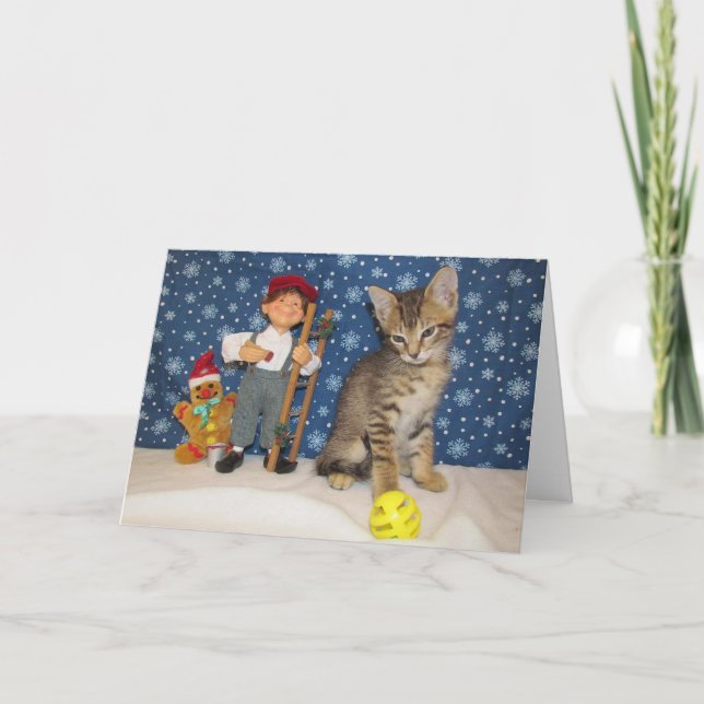 Tarjeta Festiva Jenkins y el elfo - Cute Cat Navidades Card (Anverso)