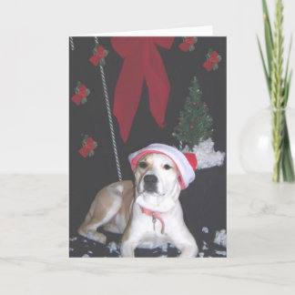 Tarjeta Festiva Jerzy-segundo-navidad