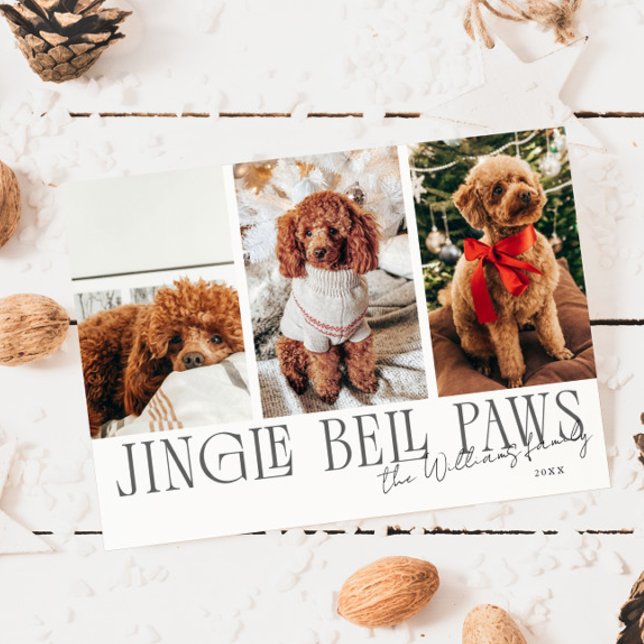 Tarjeta Festiva Jingle Bell Paws Christmas White Dog Photo  (Subido por el creador)