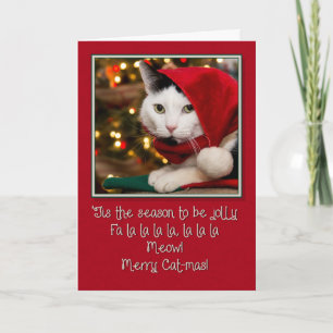 Tarjeta Festiva Jolly Cat-mas