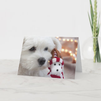 Tarjeta Festiva ¡Joyeux Noël!